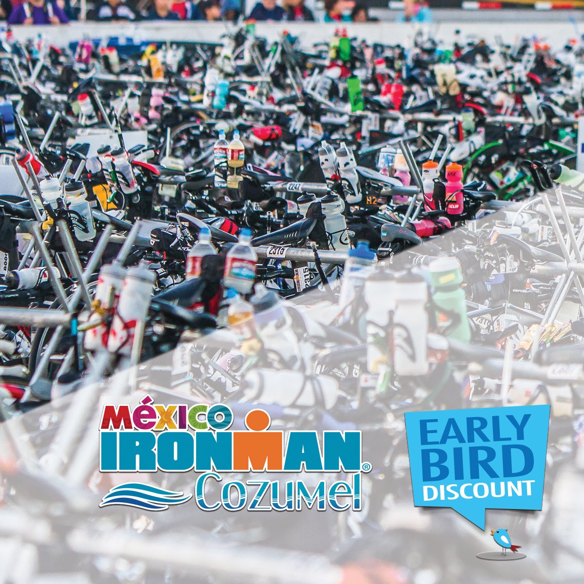gowithEST's tweet image. We have a HOLIDAY special for you. Early Bird Special Discount Pricing for our trip to IRONMAN Cozumel.
Register &amp;amp; Pay a deposit by January 31, 2019 to receive discounts on our travel services.
bit.ly/IMCozEBD19
#ironman #ironmancozumel #IMCOZ #travelpackage #travelservices
