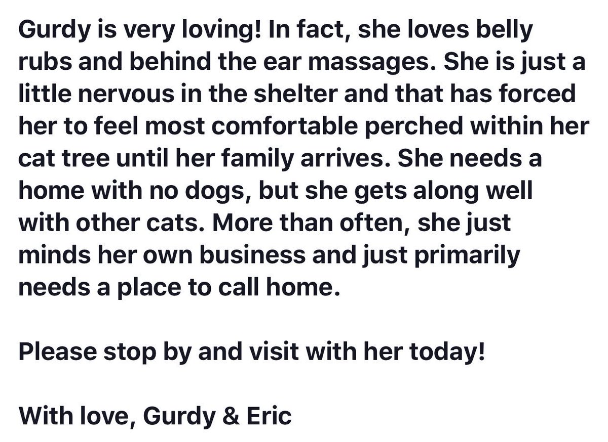 ToledoHumaneSociety tweet media