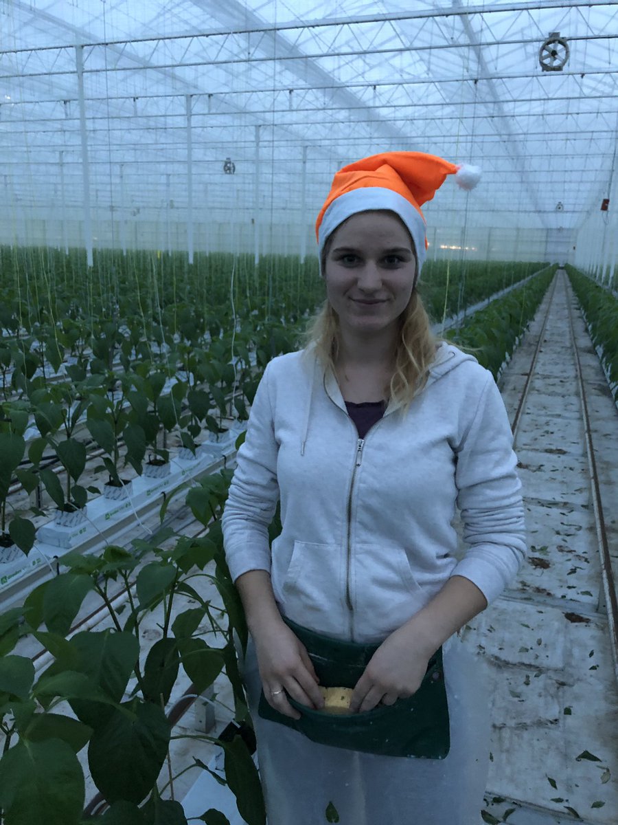 Kerstlunch 2018! Genieten met alle medewerkers van <a href="/BarendseDC/">Barendse-DC</a> <a href="/LeonBarendse/">Léon Barendse</a> <a href="/Oranje_Paprika/">Oranje Paprika</a>