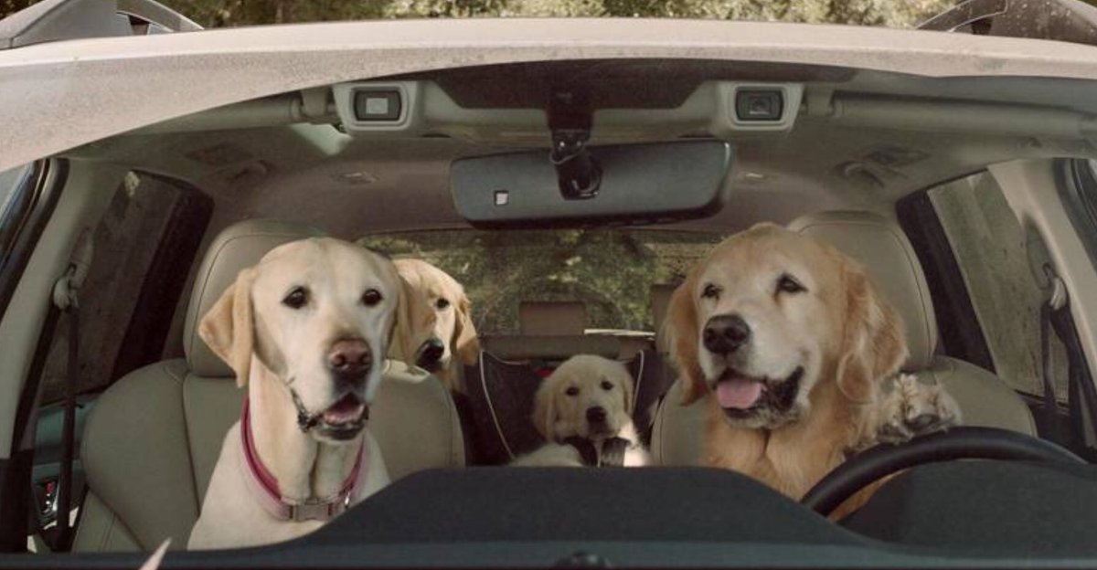 PostmanBark's tweet image. Don’t we all remember these ads? Subaru on point! Cute ads though, my favorite out of all ads. :)