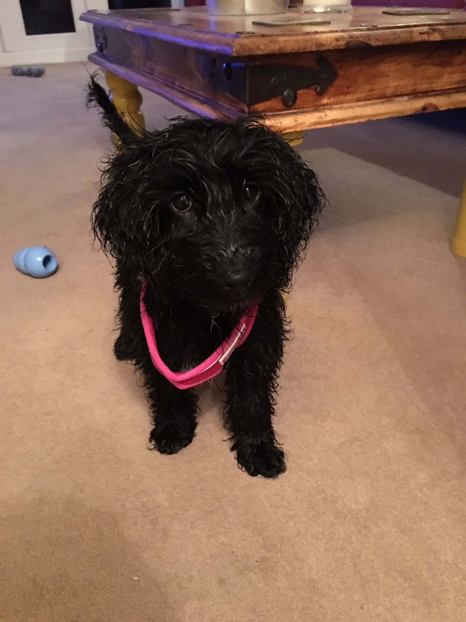 Ria Hickman on Twitter: 