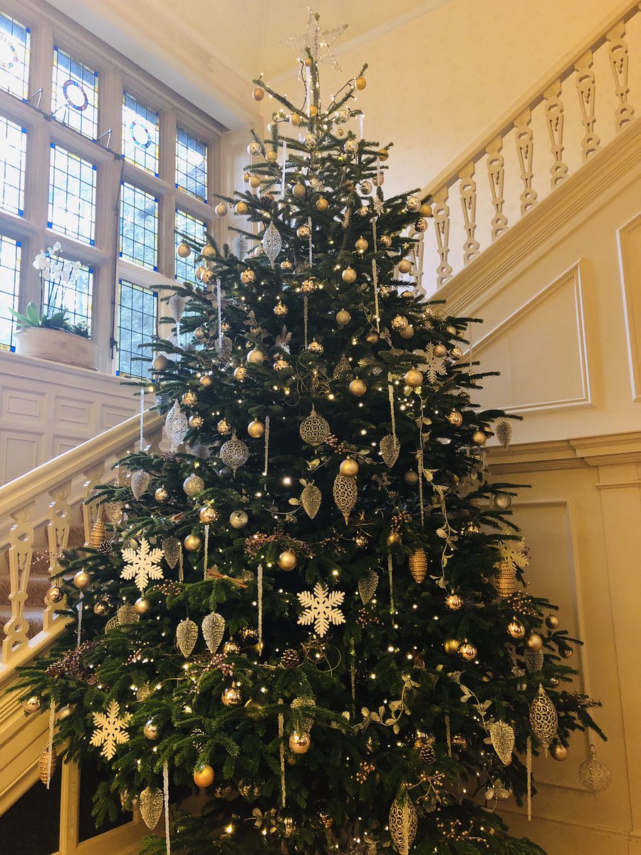 GrayshottSpa's tweet photo. A wonderful festive welcome awaits all of our guests at Grayshott Health Spa! 🌟🎄 #GrayshottHealthSpa #GrayshottSpa #Health #Grayshott #Spa #Festive #Welcome #Decorations https://t.co/kSphVHoOEf