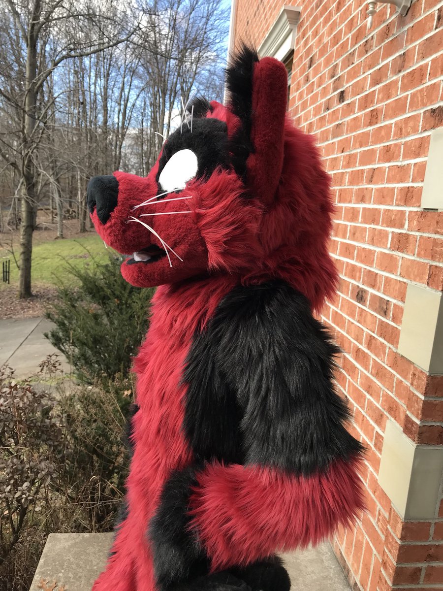 mostlybaddog's tweet photo. Introducing Wade, newest member of the #badpack! #fursuit @Machozi https://t.co/hcltaiLiRJ