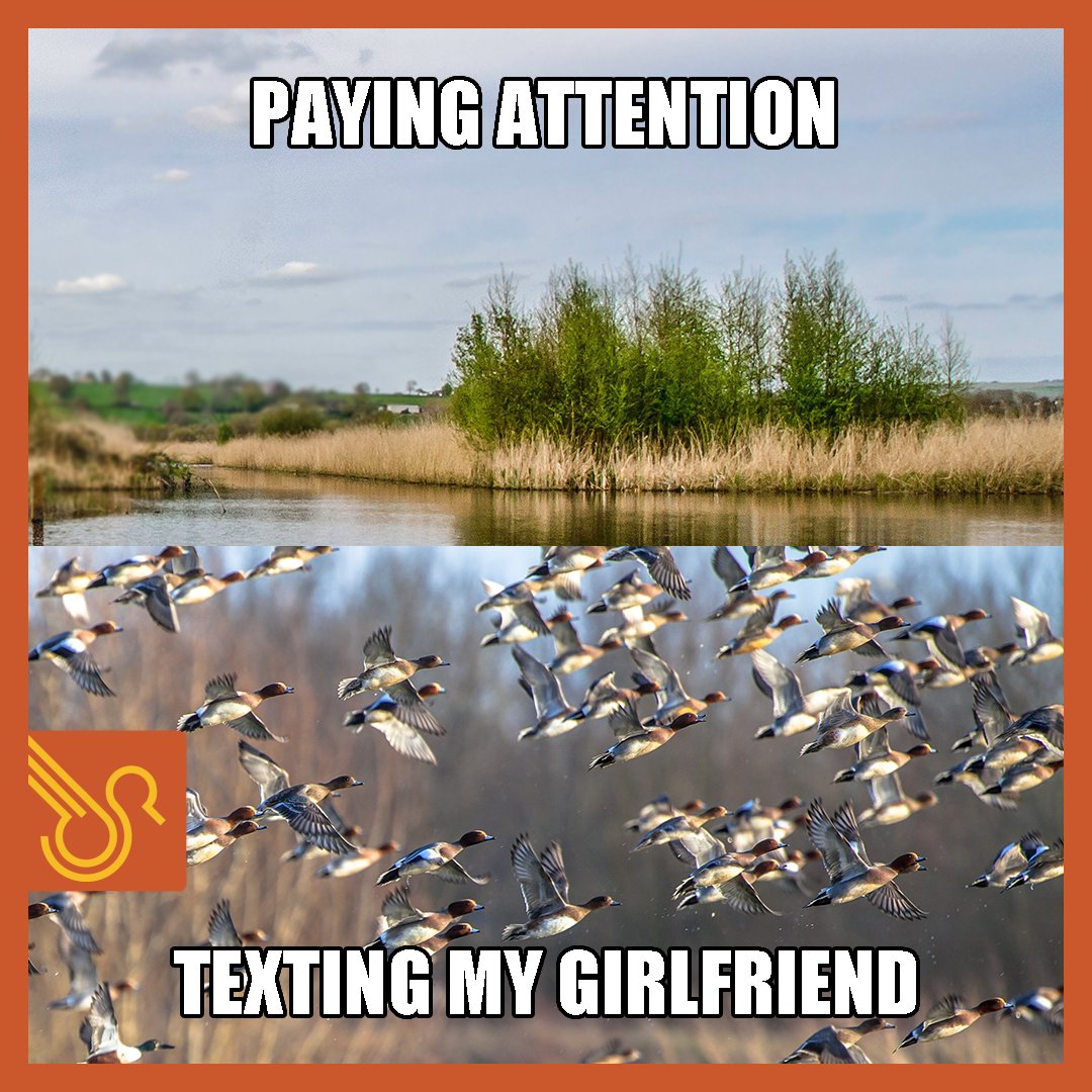 duckr_app's tweet photo. #Duckr #DuckrApp #DuckrStory #hunting #huntingseason #onthehunt #huntingjoke #huntingfun #huntinghumor #duckseason #duckhunting #duckhuntingseason #waterfowl #waterfowlhunting #waterfowlseason #waterfowlhuntingseason https://t.co/YWVEteicPp