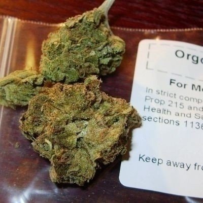 GoLocalWorc's tweet image. Worcester to Enter Into Negotiations With 5 Retail Marijuana Establishments golocalworcester.com/news/worcester…