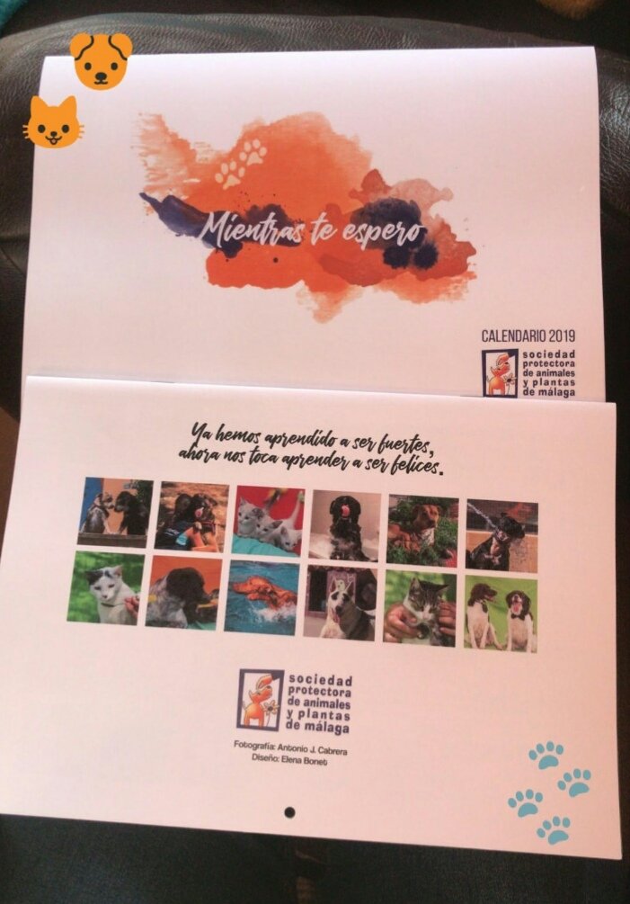 Laura_BR94's tweet photo. Ya está a la venta el calendario 2019 de la prote!! Anímate a comprarlo y así ayudar a los peludos 🐱❤🐶 https://t.co/XPzCi2NEGb