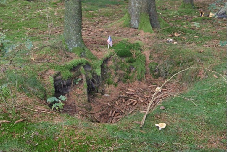 Steve Matchett tweet media