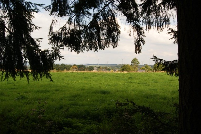 Steve Matchett tweet media