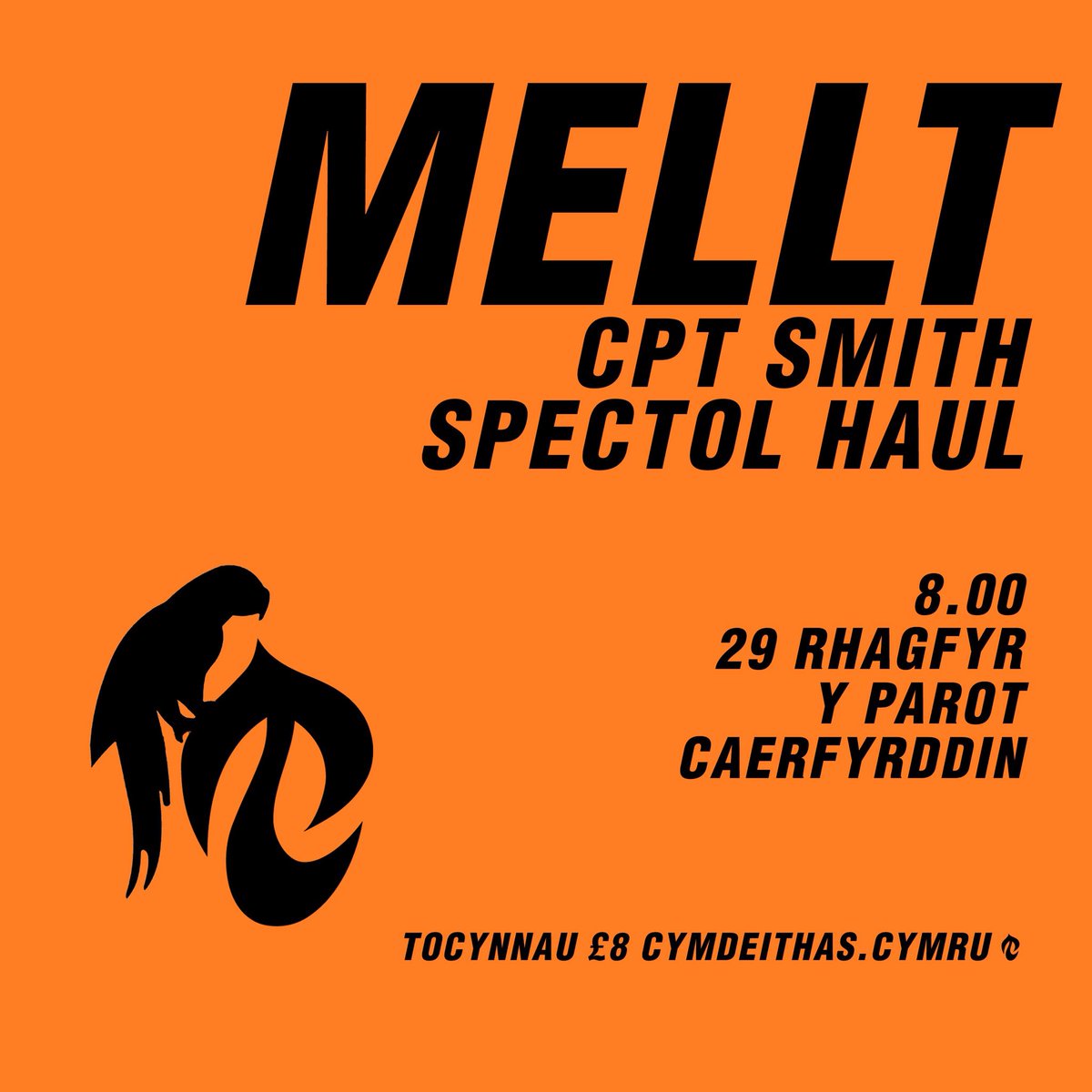 Gigs Cymdeithas tweet media