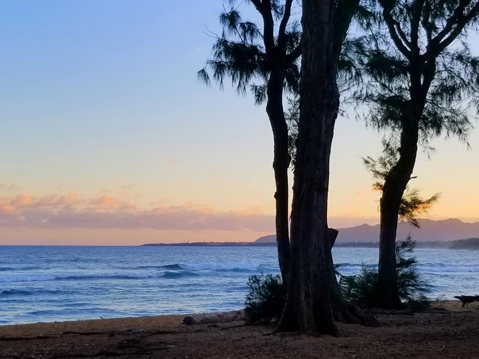 LisaTranscend's tweet photo. Sharing a bit of magic and magnificence with you. ♥

#newearth #crystalline #unityconsciousness #magical #multidimensionality #quantumexistence #transcendence #kauai #highestconsciousness #loveconsciousness #purejoy #fullpresence #remembering #heavenonearth #lightbody #DNA https://t.co/BlbDvg8Fb7