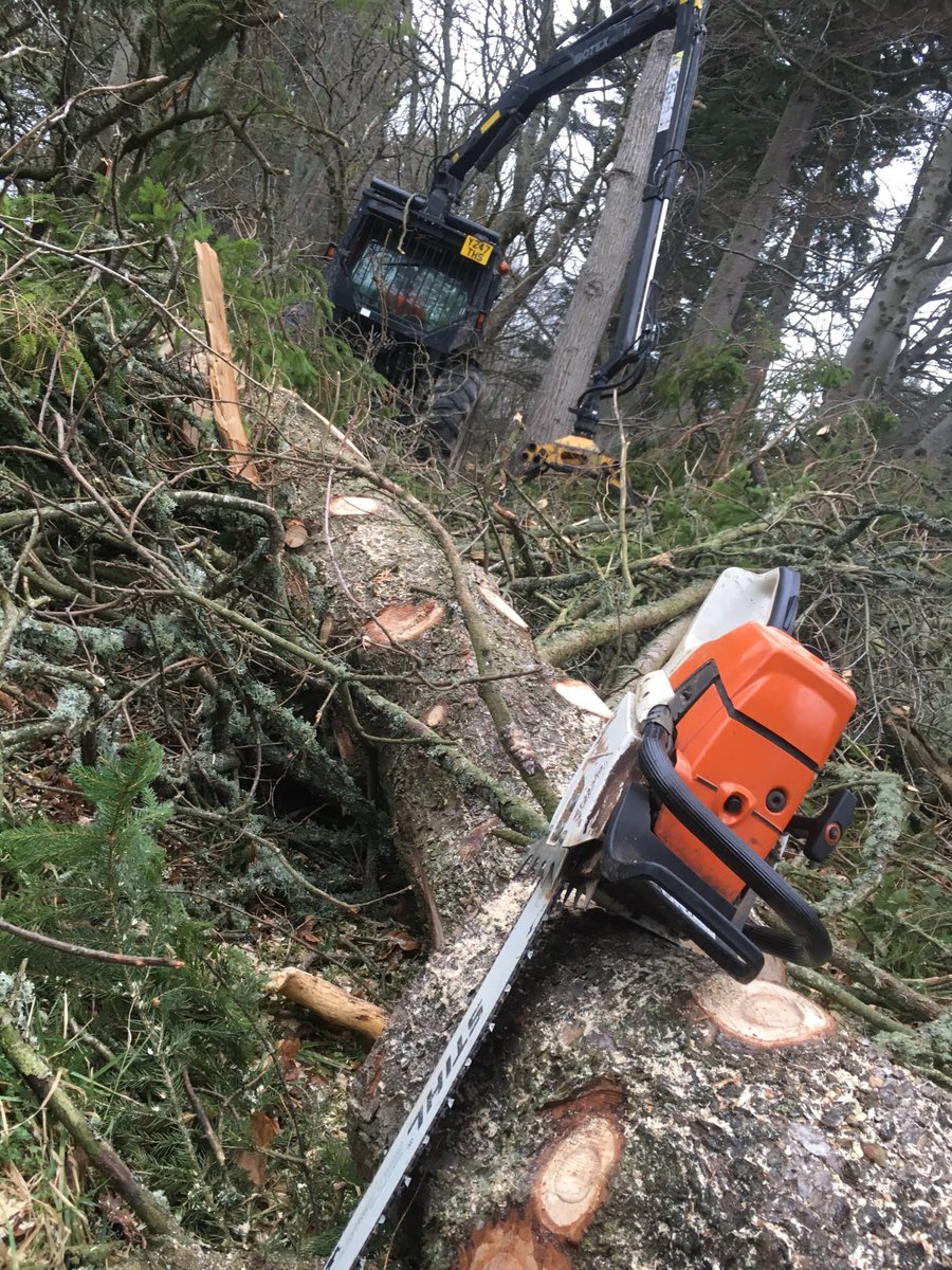 EpicTreeCare's tweet photo. Storm or wind damage? Nae bother. 

We have a few bits of kit... and a whole bunch of experience making it a piece of cake.

👍🤘💪🌲🌳🌴🎄 https://t.co/4wtwWeuQlJ