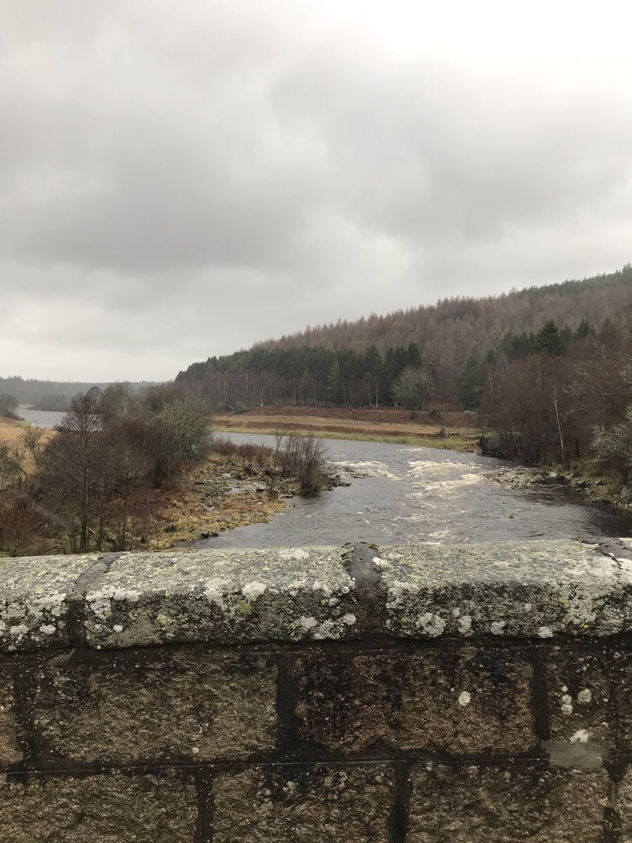 Esker Spirits tweet media