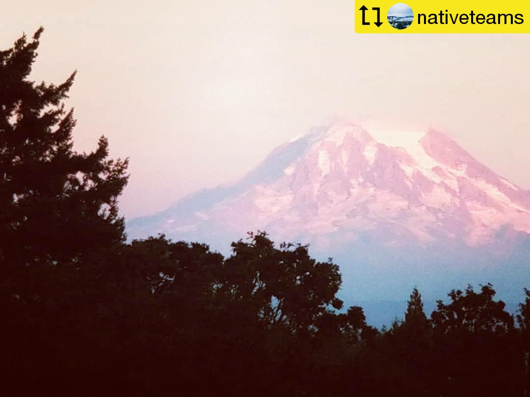 NativeMatters's tweet image. #NativeTwitter FREE promo for your artistic items, drop it here or 

tag it #Nanuk_Kayat  (Nanuk'wayat) and she will signal boost 

#WeShallRemain 

We are #Tulalip #Puyallup #Nisqually #Muckleshoot #NezPerce #NorthwestTribes 

@TeamNatives