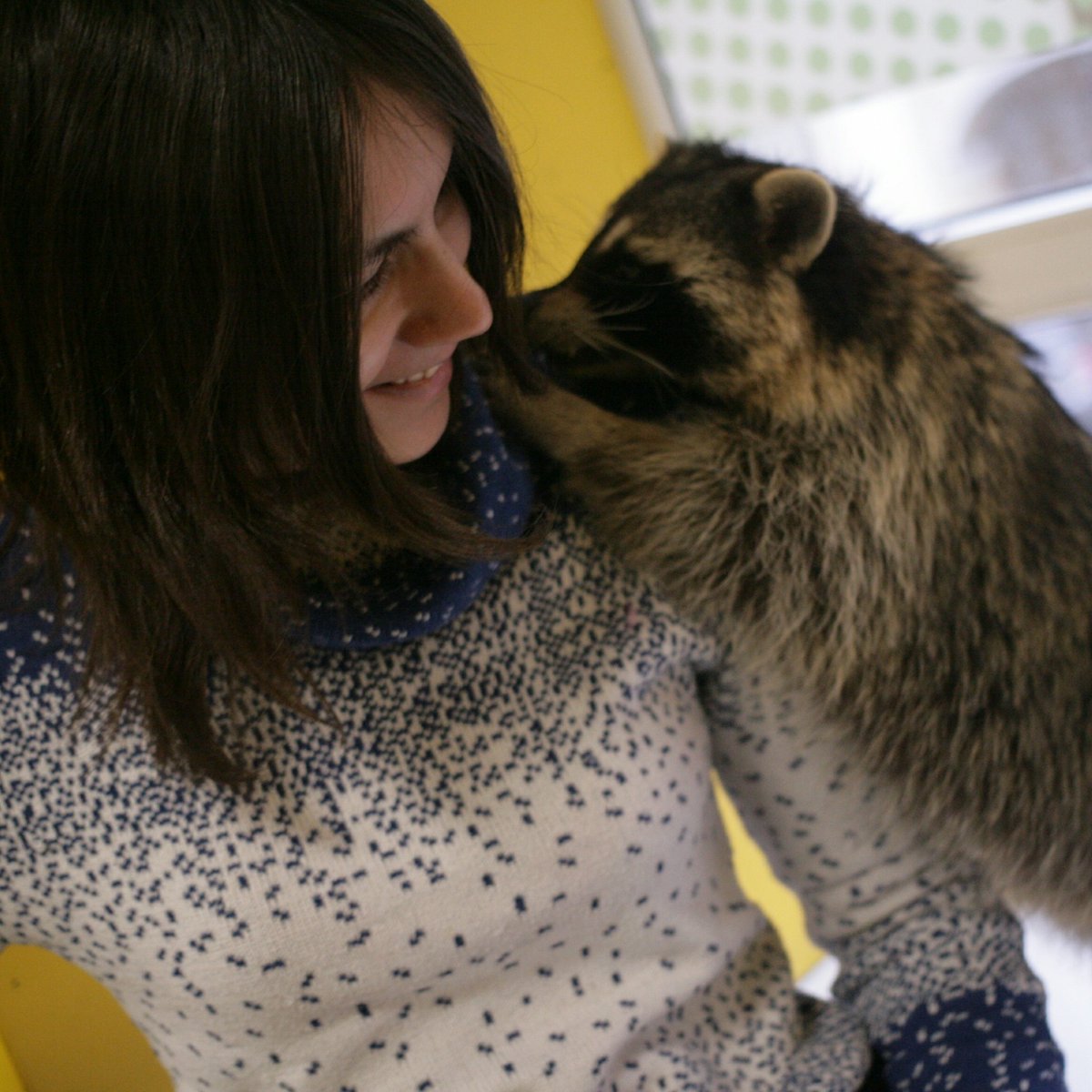 katya_chk's tweet photo. #НоваяАватарка https://t.co/c8yQDho24x