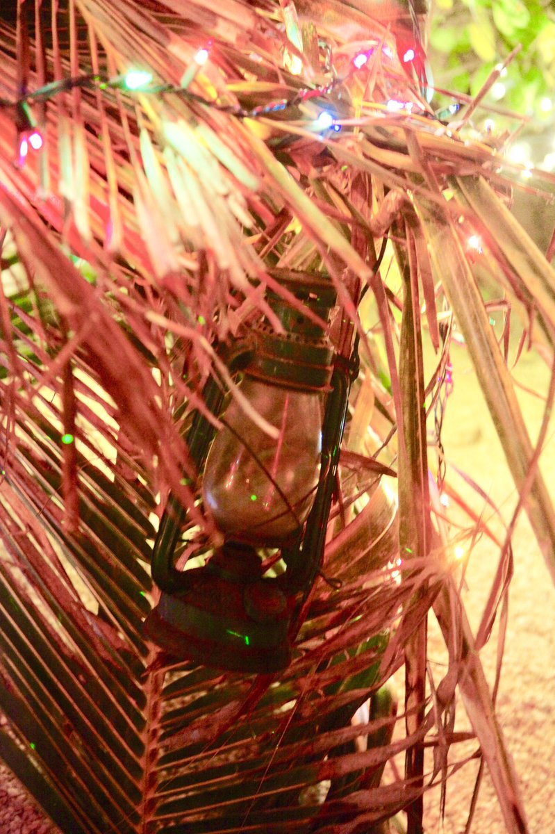 booby_pointe's tweet photo. 1st Annual Night of Lights home decorating competition - Tied 2nd Place: Dell Dixon #1stannualnightoflights #2ndannualspotbaychristmashomecoming #spotbaycommittee #spotbaydistrict #caymanbrac #caymanislands #homedecoratingcompetition #homedecorating #christmas #nightoflights https://t.co/smL095LO55