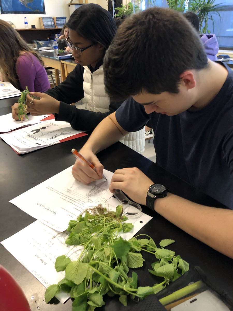 BrianMcFarland tweet media