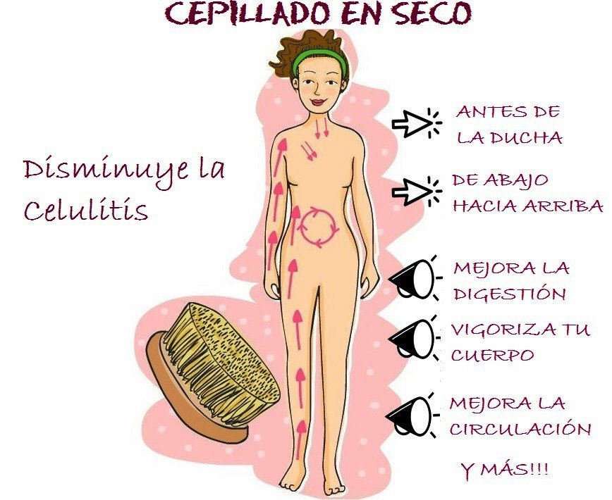 PerderPeso97's tweet photo. Beneficios de Cepillar la Piel en Seco
El cepillar la piel en seco estimula el #sistemalinfático, y ayuda a la desintoxicación.
También aumenta su #circulaciónsanguinea, exfolia la piel, puede reducir la #celulitis y ofrece alivio de estrés y fortalecimiento.
#cuidatucuerpo https://t.co/gMff1WpBmK