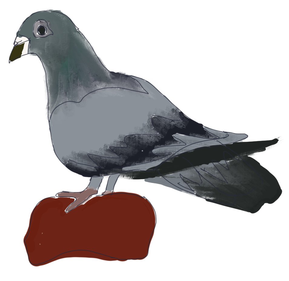 SquidSchools's tweet photo. Program a #quantum computer, win a trip to Sochi! Competition open to @ETH_en students, deadline 15 Jan. Simulate quantum pigeons and compute transversals! https://t.co/Zo2y40mLn5  
@RuQuantumCenter  @ETH_physics @NCCR_QSIT https://t.co/PByLg8o0St