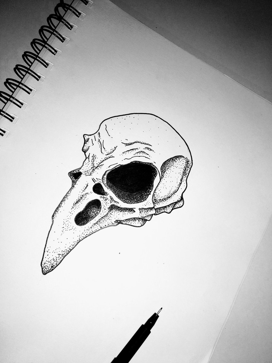 Aesth_etiK's tweet photo. [WIP] 💀 Skull Crow 💀

Allez hop on scan ça , Photoshop, niveau de gris, cmd+m, vectorisation et on va commencer a s'amuser un peu. A suivre 😈

#crow #skull #draw #dotworks #corbeau #dessin #crane https://t.co/XWQd1kUBdS