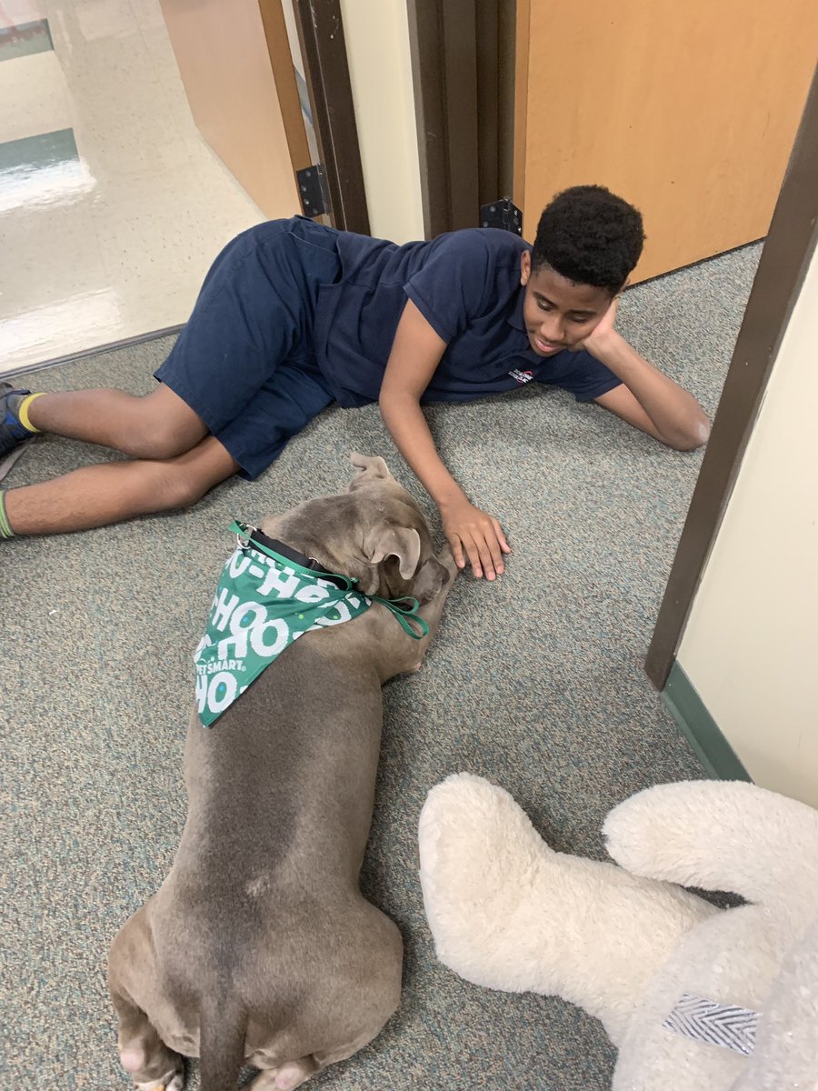 CWhiteStAug's tweet photo. Alex wasn’t feeling well, came to the clinic, saw Duke and requested snuggles. He is a great kid but said he was going to “get sent to the office more” just to see Duke. 😂 #therapydog https://t.co/UPK0M79SAp