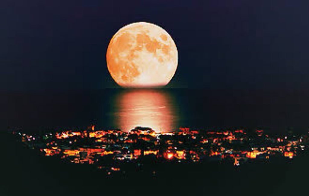 ﮼ 🦋ᑕ𝓪𝓳𝓸𝓸 tweet media