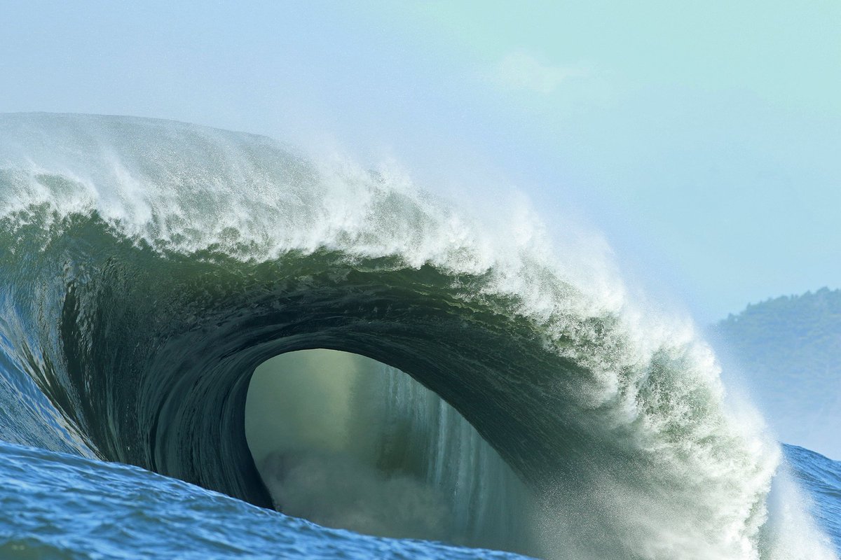 Surfline tweet media