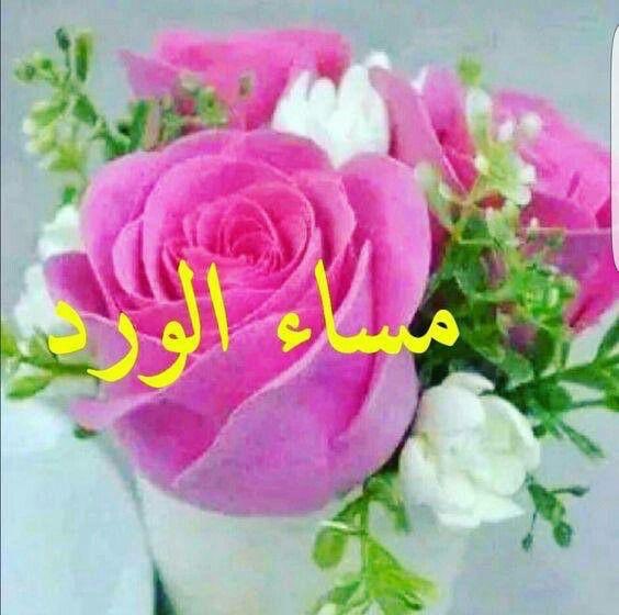 AlshhinAlshhin2's tweet photo. @D2na_al3obaa https://t.co/IseYfN6OiU