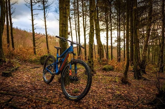 Mandatory new bike post 📸@photomadmatt

🔥Rimpo XL GL Werks🔥.

-----
#Ibiscycles #Ibisripmo #Ripmo