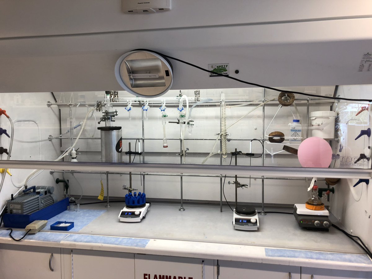 Cameron Pratt tweet media