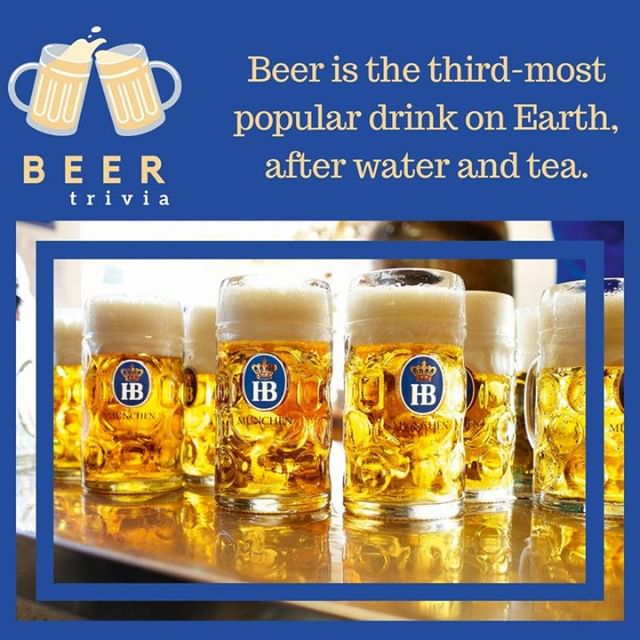 HofbrauhausLV's tweet photo. Beer Trivia: Did you know beer is the third-most popular drink on Earth, after water and tea.
.
.
.
#beer #trivia #beertrivia #beertriviatuesday #triviatuesday #followtheliter to #hofbrauhauslv #beervegas #lasvegas #lasvegasbeer https://t.co/MWvgHUlNZ4