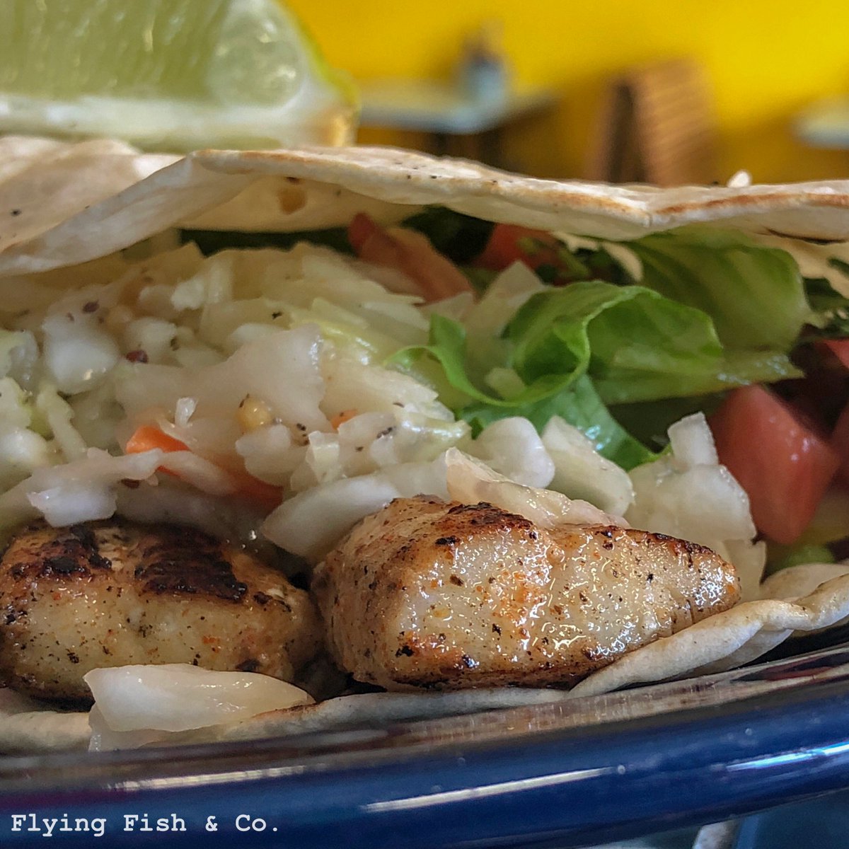 WVFlyingFish's tweet image. It’s TACO TUESDAY!!! Buy one YUUUGE fish or shrimp taco, and get a second for half off! 

Also, don’t forget that the deadline for all of your holiday pre-orders is tomorrow by 8pm. Call the store at 304-225-3474 or message us right on here and we’ll getcha taken care of!