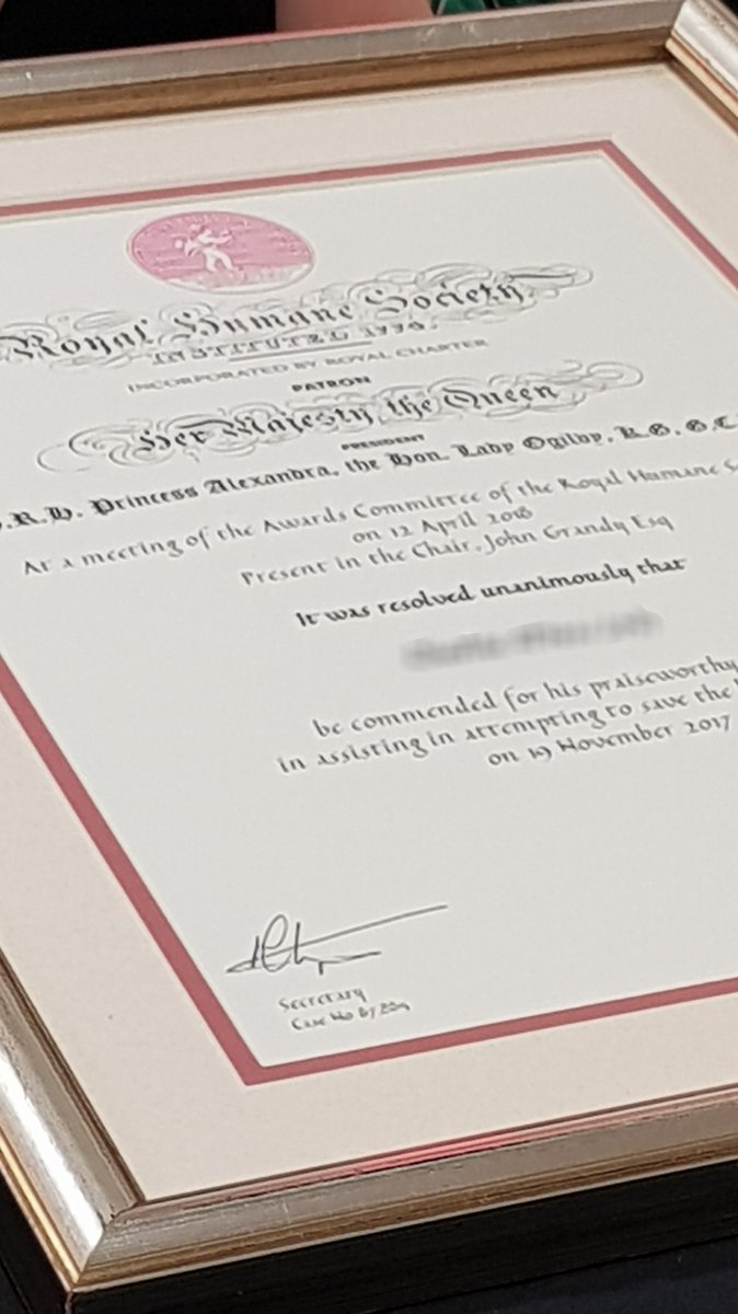 selinataylorsja's tweet photo. Special visitors and special awards at tonight's presentation evening at Portishead and Pill ASU.
#MySJADay @centralswsja #areamanagement https://t.co/GUl6Ex3UKV