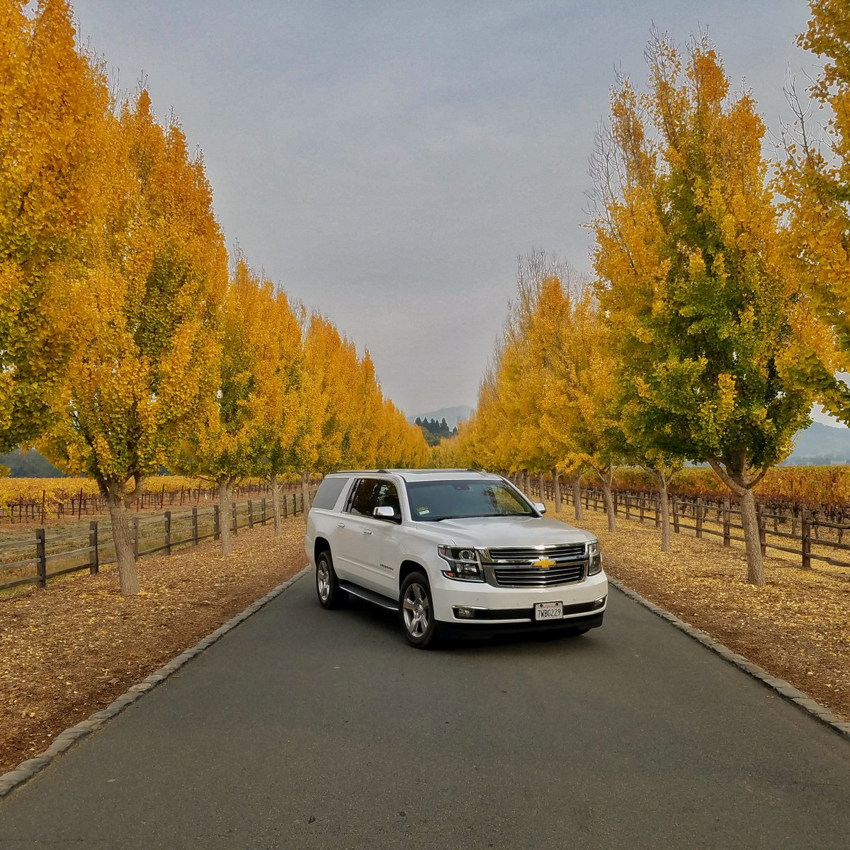 Napa Native tweet media