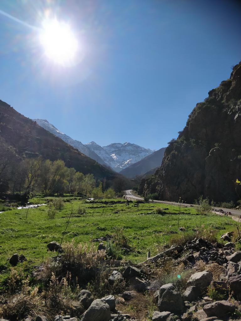 ASadnessUntold tweet media