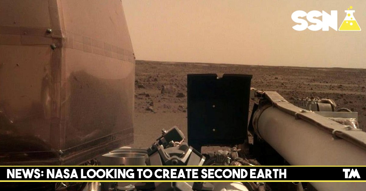 Trash Mutant tweet media