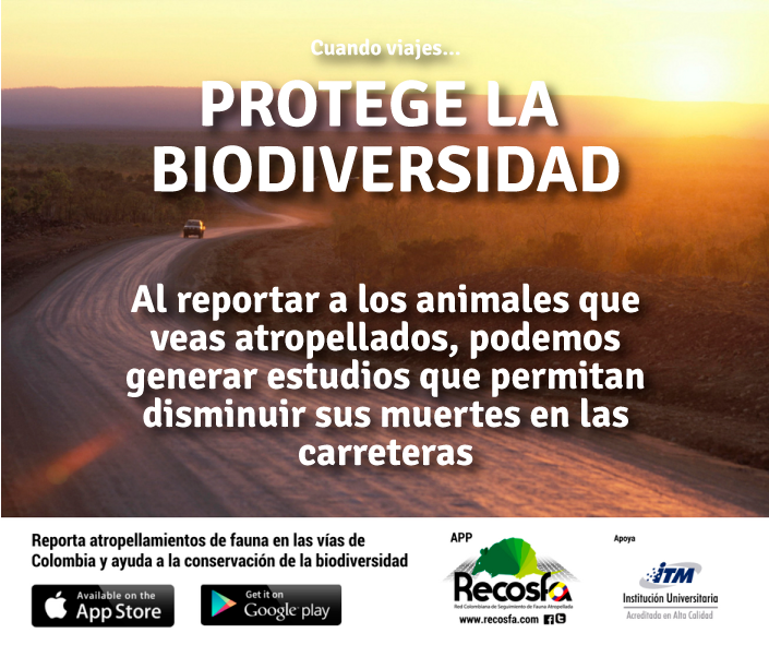 recosfa's tweet photo. ¡Tips para proteger a la biodiversidad si conduces en vacaciones!
Tip 2️⃣: Reporta los animales atropellados que encuentres a través de la app #RECOSFA https://t.co/3pGvJD0iGY