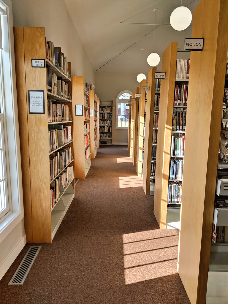 When that afternoon light hits the bookshelves just right.