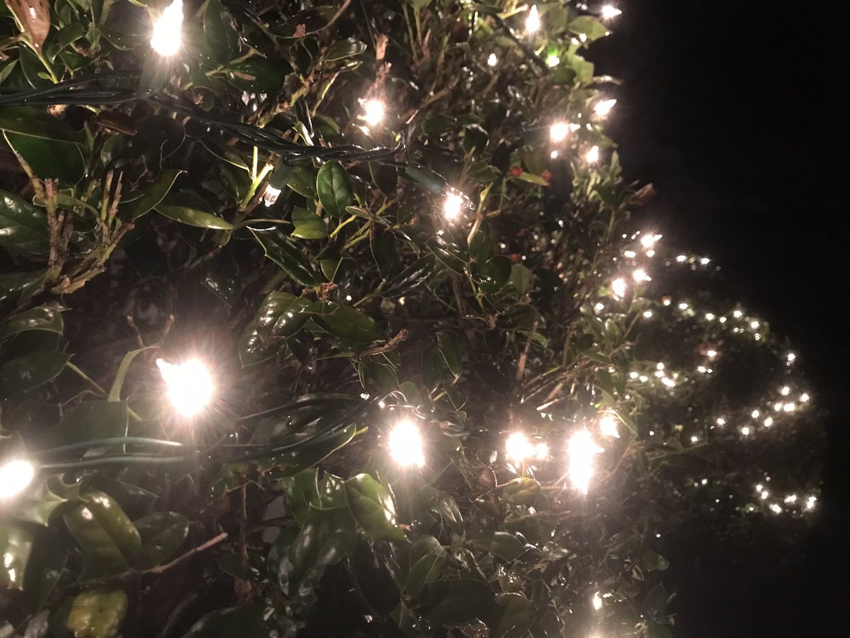 kaineduds's tweet image. Mentally, I’m prepared for the Christmas lights not to work after sitting in boxes for a year (+/- 4 months). Hours of SVU-like bulb analysis and a trip to the ‘Christmas Thunderdome’ section at Lowes. When they do actually light, it’s like a tiny Christmas miracle.
 #happystuff