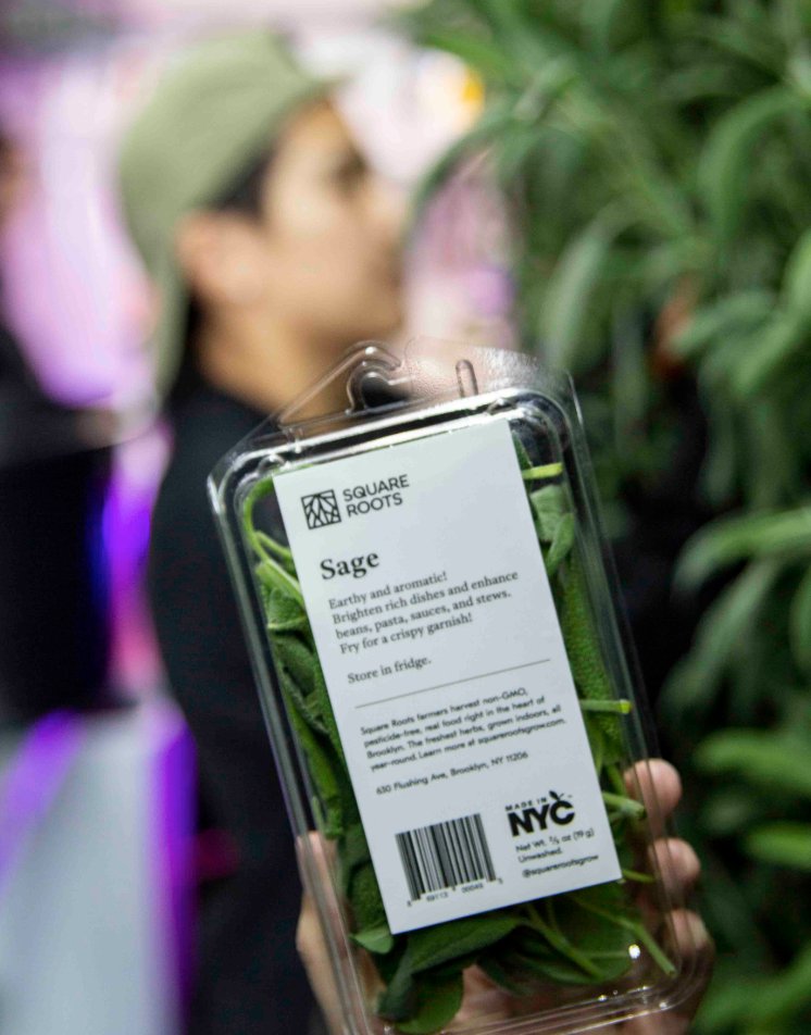 Square Roots Indoor Farms tweet media