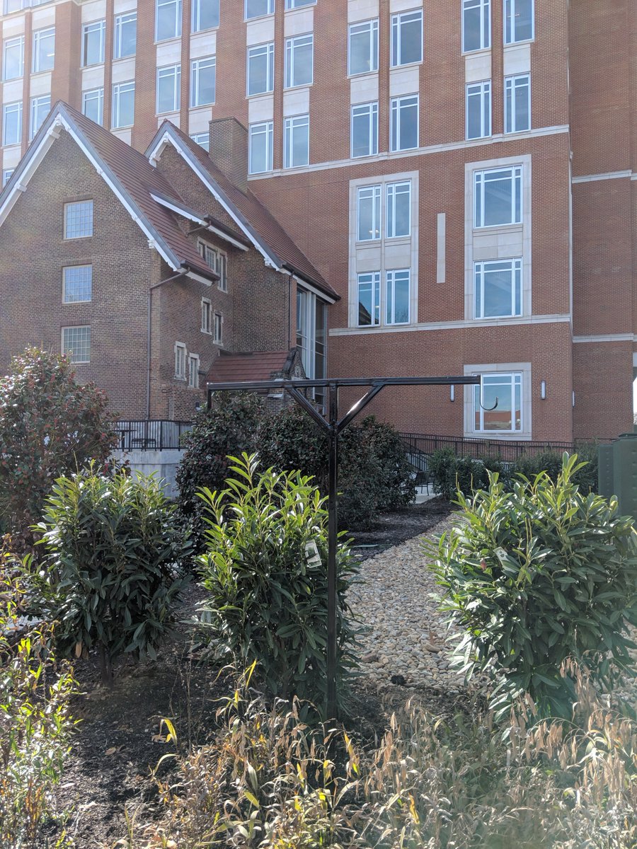 UTKBiology's tweet photo. Bird feeder stands are going up by #StrongHall. Soon there will be even more biology to observe! #metabolism #ecosystem #alfredhitchcock
#UTKGeneralBiology @ArtsSciencesUT https://t.co/0vLu2UMkIU