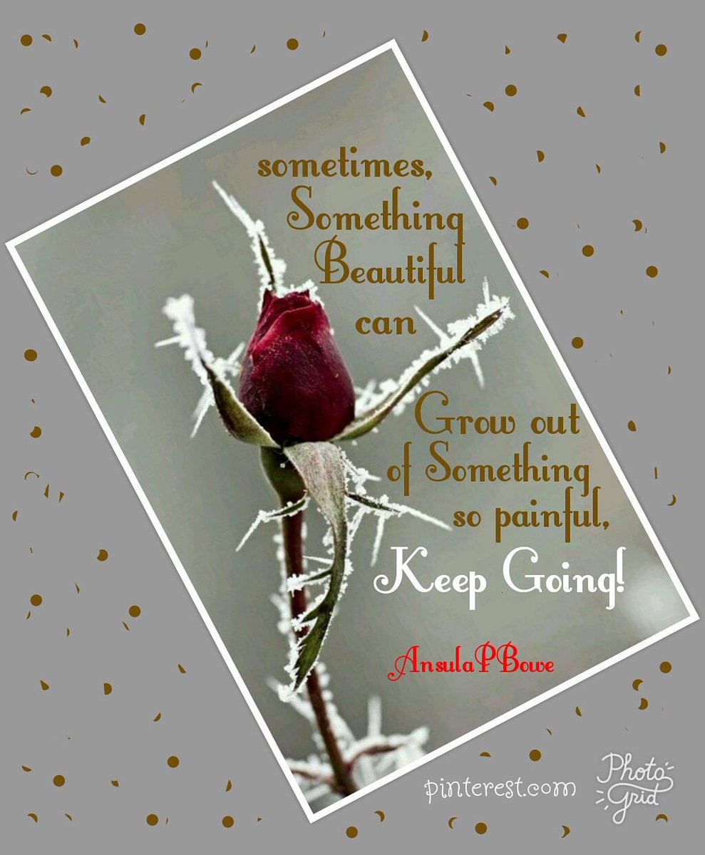 ansula_bowe's tweet photo. #myhealingjourney #hallelujah #holyspirit #bible #joychristian #onamission #naturephotography #rosesarered #beautyinthorns #godgaveulife #endurance #letgonletgod #frost #brokenness #noworries #godisable #getbackup #smile #godlovesyou #prayalways #phonephotography https://t.co/TfE9bknIFN