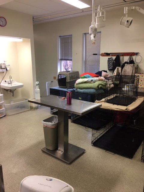 Sycamore Schools tweet media