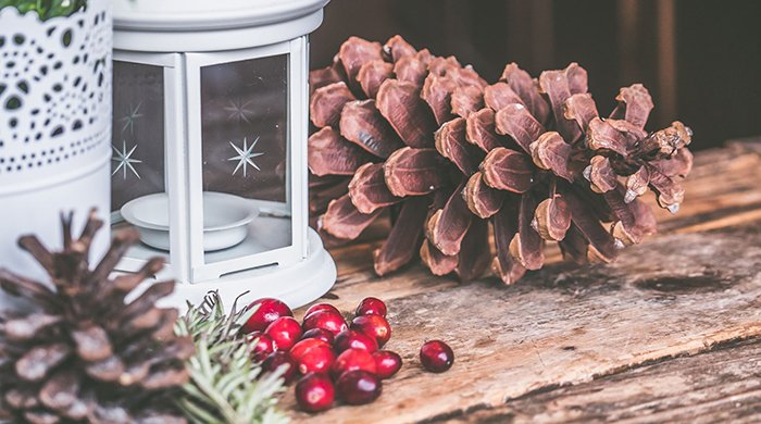 LivingAtBristol's tweet photo. The holidays are quickly approaching! Read about our residents’ favorite things to do at Bristol Village during this time of year: https://t.co/ZpgrrqCxQH #retirementcommunity https://t.co/5pw10nqlcN