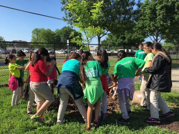 TexanbyNature's tweet photo. Our Conservation Wrangler, the @Texas_Trees, has planted 571,815 trees in DFW. The Foundation created Cool Schools for Dallas ISD to help reduce urban heat and implement education programs to teach the importance of maintaining a healthy urban forest. https://t.co/YXVnSnsWUS https://t.co/bwtehGwPg9