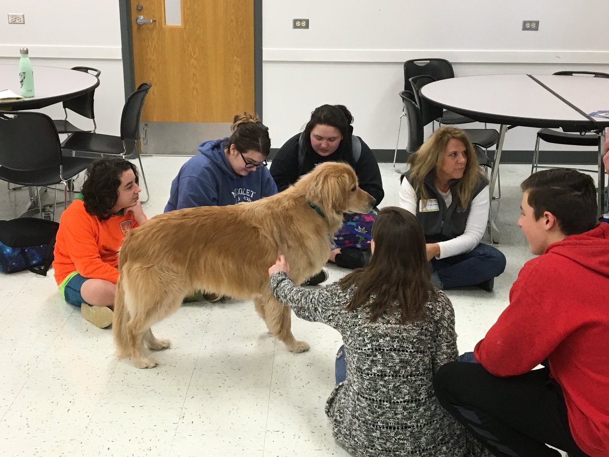 kevinshelton89's tweet photo. Boomer the Golden Retriever/therapy dog made a visit today at JHS.  I think he made a few new friends! @JohnsburgSD12 @JHSSkyhawks #WeLoveOurSkyhawkStudents #GoodLuckWithFinals! https://t.co/g2bmOAEvYE