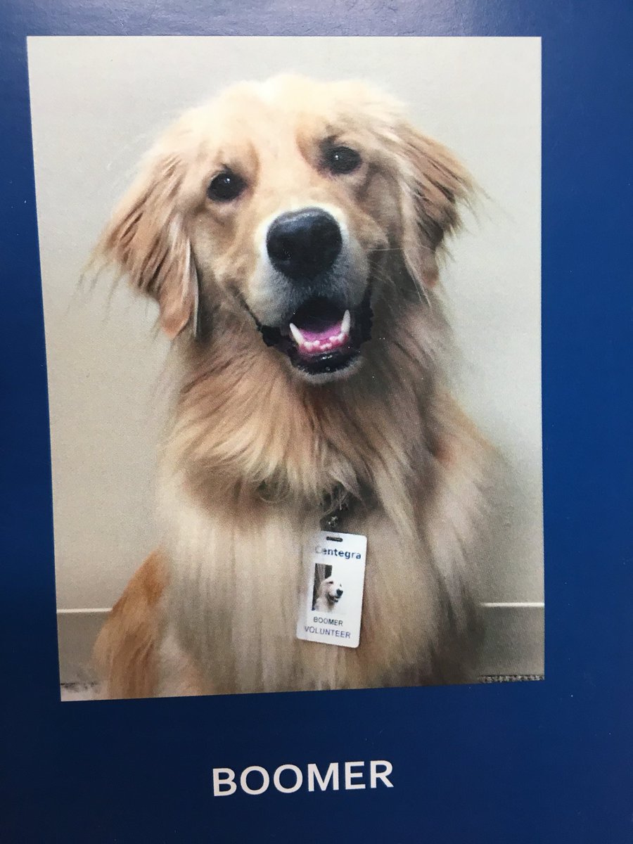kevinshelton89's tweet photo. Boomer the Golden Retriever/therapy dog made a visit today at JHS.  I think he made a few new friends! @JohnsburgSD12 @JHSSkyhawks #WeLoveOurSkyhawkStudents #GoodLuckWithFinals! https://t.co/g2bmOAEvYE