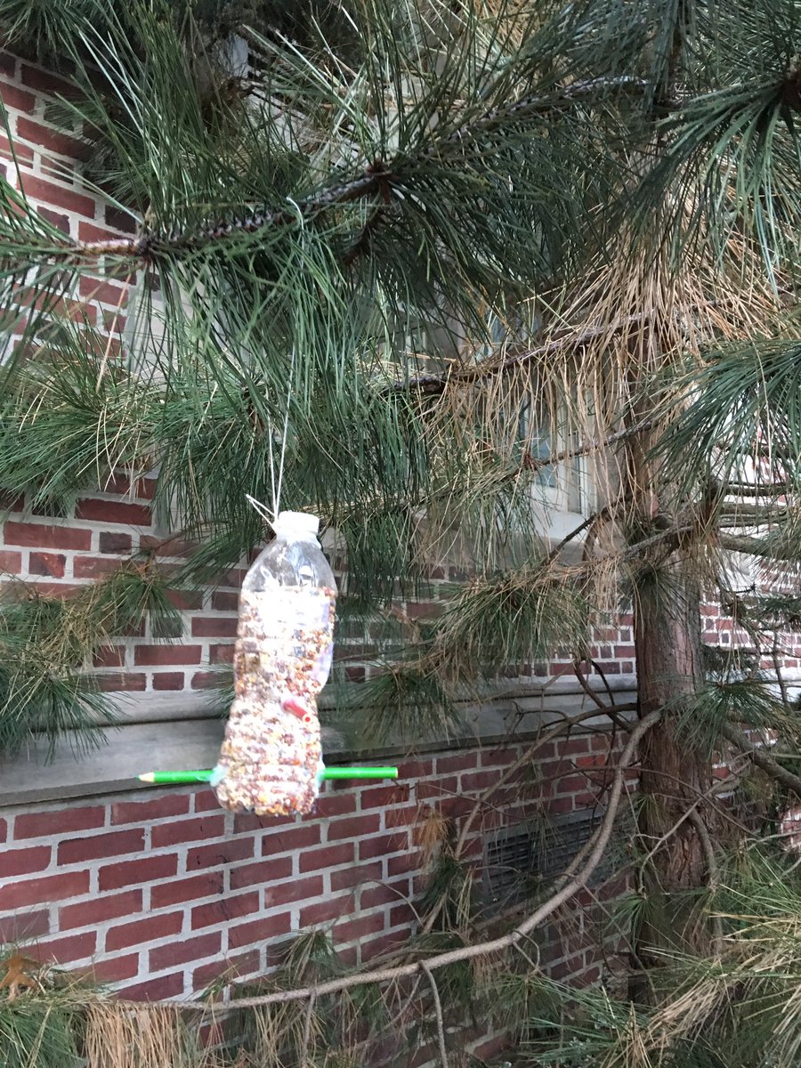 Amy Sweeney tweet media