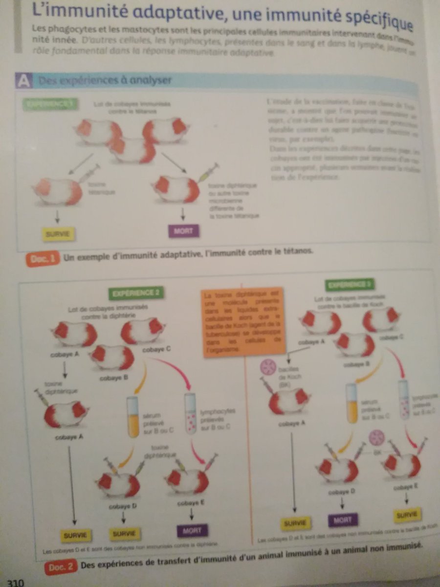 laly_mace's tweet photo. @peta outrageous, biology book at school https://t.co/wErxyCpJYI