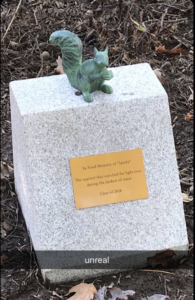 Shaine Mckeever On Twitter Did One Of Your Squirrels Chew Through The Schools Electrical Wires Causing A Fire Explosion Power Outage And Having The Whole School Skip 2 Days Of Classes Back In May