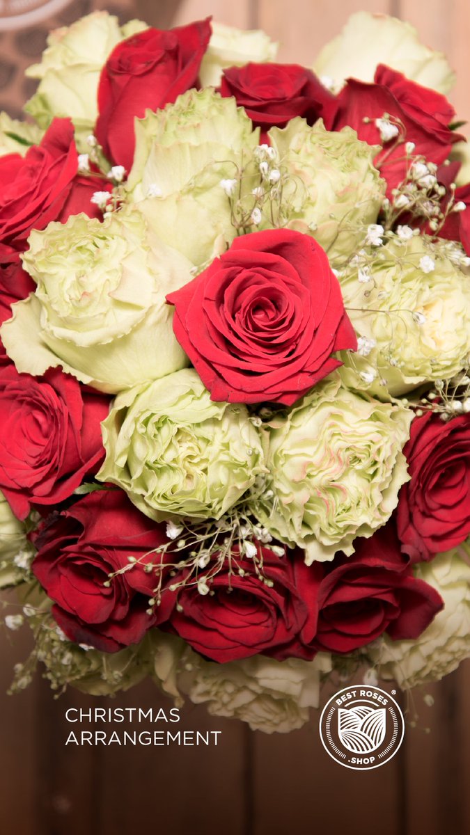 Best Roses Shop (@BestRosesShop) / Posts / X